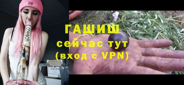 твердый Няндома