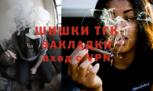 твердый Няндома